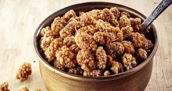توت خشک رسمی با قیمتهای فوق العاده + بهترین قیمت خرید
